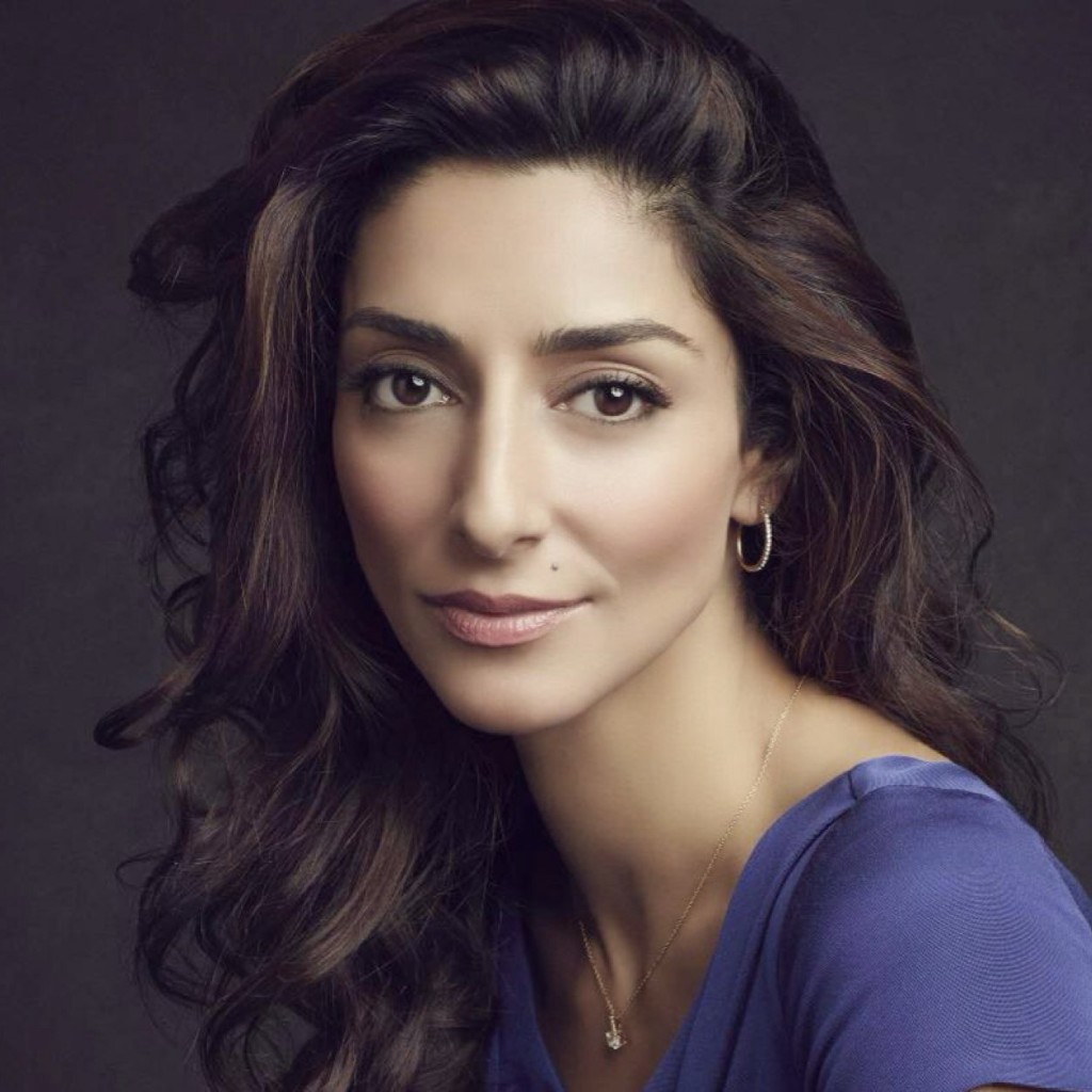 Girlfriends Guide To Divorce Necar Zadegan Joins The Cast Tvhackr